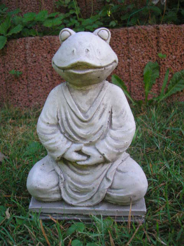 Buddha Frosch
