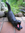 gähnende Katze - schwarz lackiert