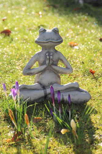 Yoga Frosch 'der Lotus'